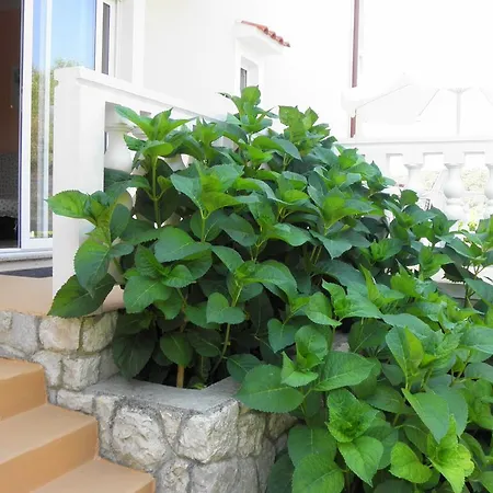 Viola Appartamento *