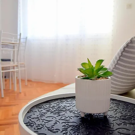 Viola Apartment *